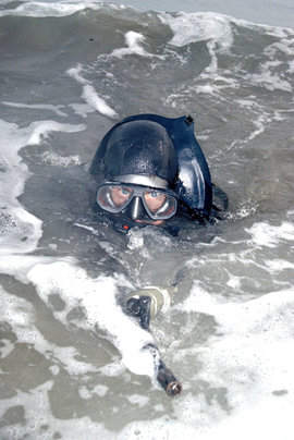 подразделение Сил специальных операций ВМС США, «Тюлени»