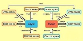 Как не запутаться в родственниках?