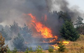 Лесной пожар как зеркало человеческого фактора