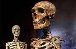 Краснодарские полицейские нашли в своем отделении человеческий скелет 