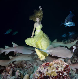 акула, танец, Модель Ирина Британова