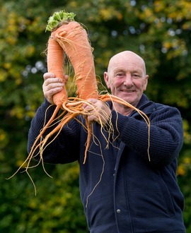 овощи-гиганты, Осенняя выставка цветов и овощей, Англия, морковь