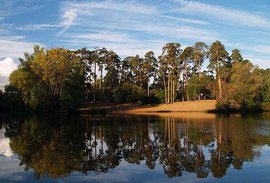 В Серебряном бору идет охота на натуристов