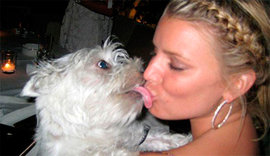 "Собачья жизнь" со звездой