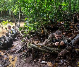 армия США, 25-я пехотная дивизия, военные учения