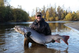 Опыт СССР мешает россиянам есть качественную рыбу