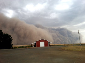 пыльная буря