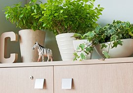 Фэн-шуй на рабочем месте