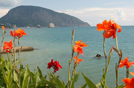 Французы построят русский парк 'Царьград' в Крыму