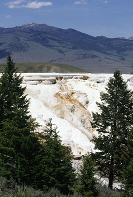 Йеллоустонский национальный парк, Вайоминг