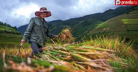 Кто победит в борьбе за партнерство с Вьетнамом