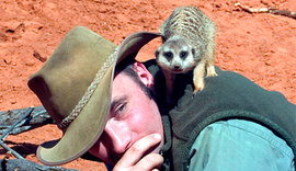 Сурикаты: хорошее настроение обеспечено