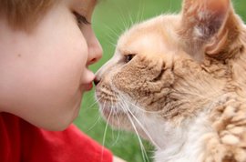 Аллергия в доме: всегда виноваты животные?