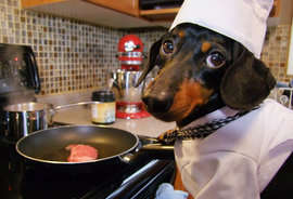 такса-повар