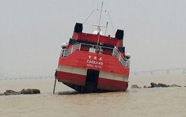 происшествия недели