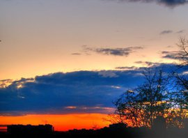 Социологи выяснили, что россияне уверены в своем влиянии на власть и при этом требуют "жесткой руки"