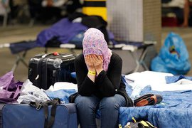 Тысяча сирийцев в 2015 году попросила убежища в России - ФМС 