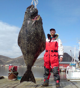 палтус, рыбак