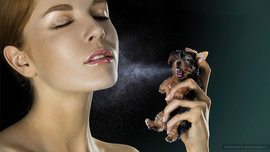 запах, афордизиаки, ферромоны