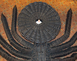 Паук, Книга рекордов Гиннесса