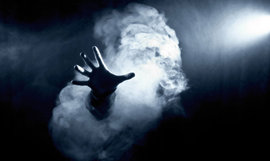 Людей до ужаса пугает Франция и крупные кроты