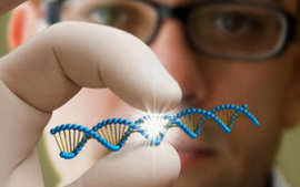 От овцы до человека: Калифорнийские ученые создали клон взрослого мужчины