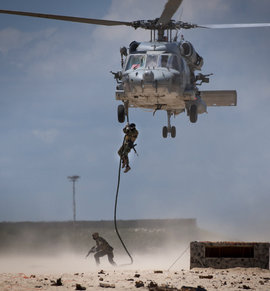 армия, США, Ночные охотники