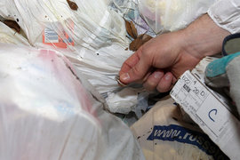 Забавные истории