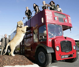 Зооистории