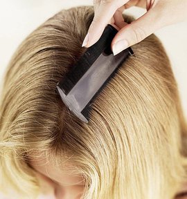 избавиться от, паразит, вши, педикулез, домашних условиях, дети, лечение, средства, профилактика, отзыв, ребенок, проблема, голова, родители, школа, средства от вшей, лечение в домашних условиях, избавиться от вшей