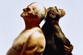 Жиры и плохой сон делают нас глупее