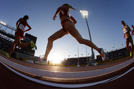 Сергей Бубка избран вице-президентом IAAF