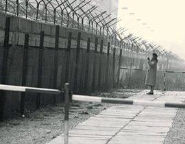 Кирпичи Берлинской стены берегли для Украины