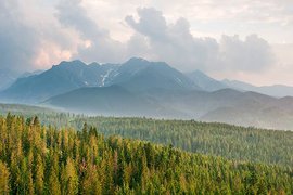 Кто открывает фронт в Закарпатье? Об этом рассказывает премьер-министр Республики Подкарпатская Русь Петро Гецко