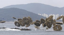 Морской десант, котики, Южная КОрея