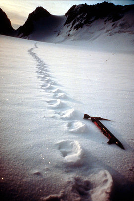 снежный человек