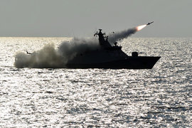 Флот Индонезии