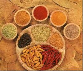 здоровье, профилактика, травы, пряности, тархун, эстрагон, сельдерей, базилик, кинза, фенхель, витамины, микроэлементы, пряности, пряности и страсти, приправы приправы на зиму