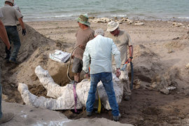 Кофеварка для космонавтов, винтажный паб и первый "Феррари"