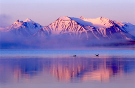 Алтай. В поисках Шамбалы