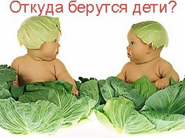 взрослые вопросы, детям о взрослом, откуда берутся дети