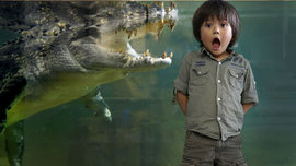 ребенок, крокодил