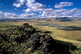 "Алтайская амазонка" оказалась мужчиной