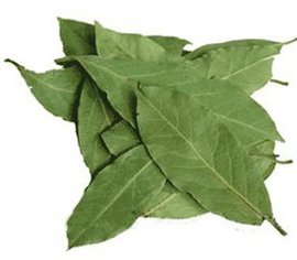 лавровый лист, лечение, сустав, врач, эфирное масло, лосьон, антисептик