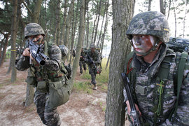 Морские пехотинцы, Южная Корея