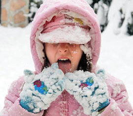 жирный питательный крем масло, жирным кремом, сосудистая сетка, масла оливковое другое косточковое, зимняя маска