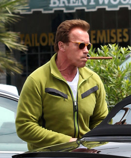 Шварценеггер