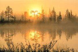 Финляндия, природа