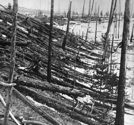 тунгусский метеорит