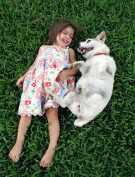 смех, собака, девочка, ребенок